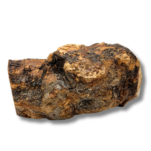 Load image into Gallery viewer, *NEW Nativity Scene in Raw Olive Wood Manger